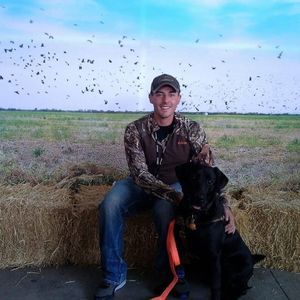 Meet your Posher, Joey